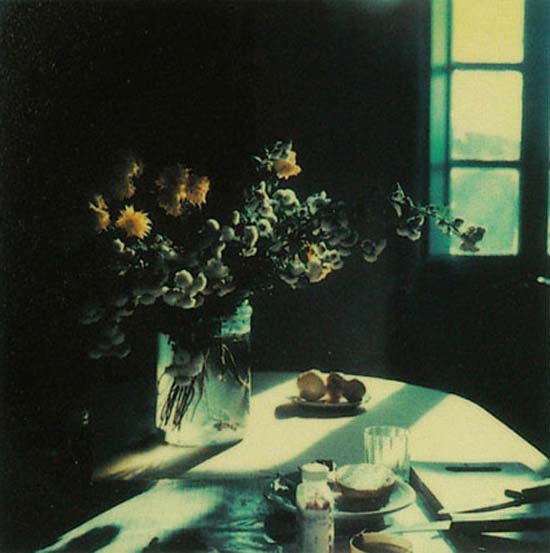 Las Polaroid de Tarkovsky