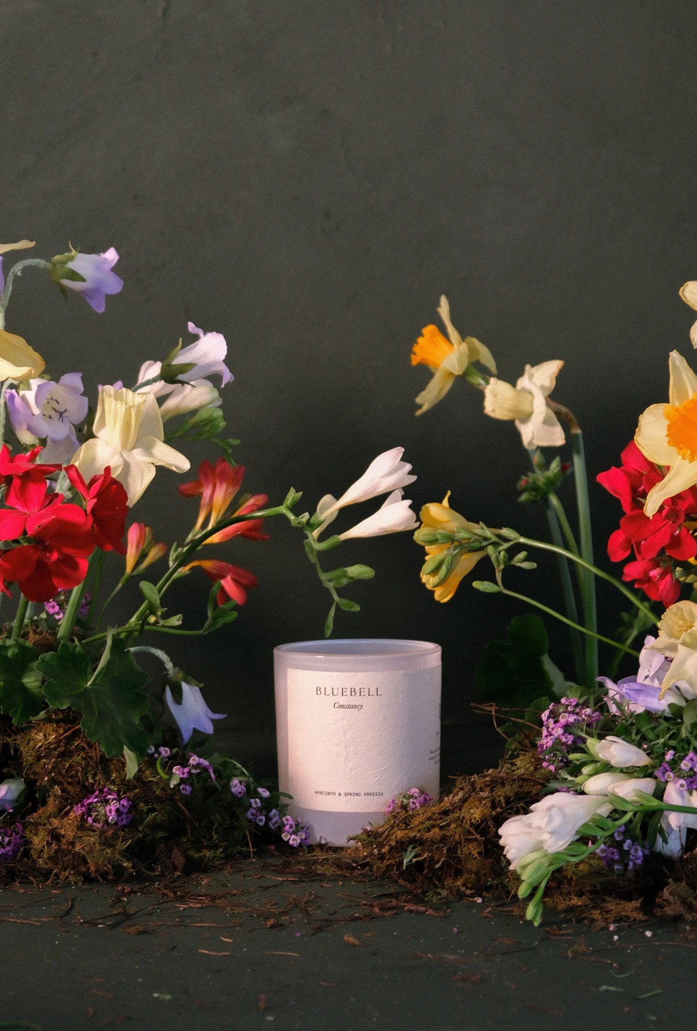 Limited Edition Studio Sol - Minimal Image Collection - 4K Quality