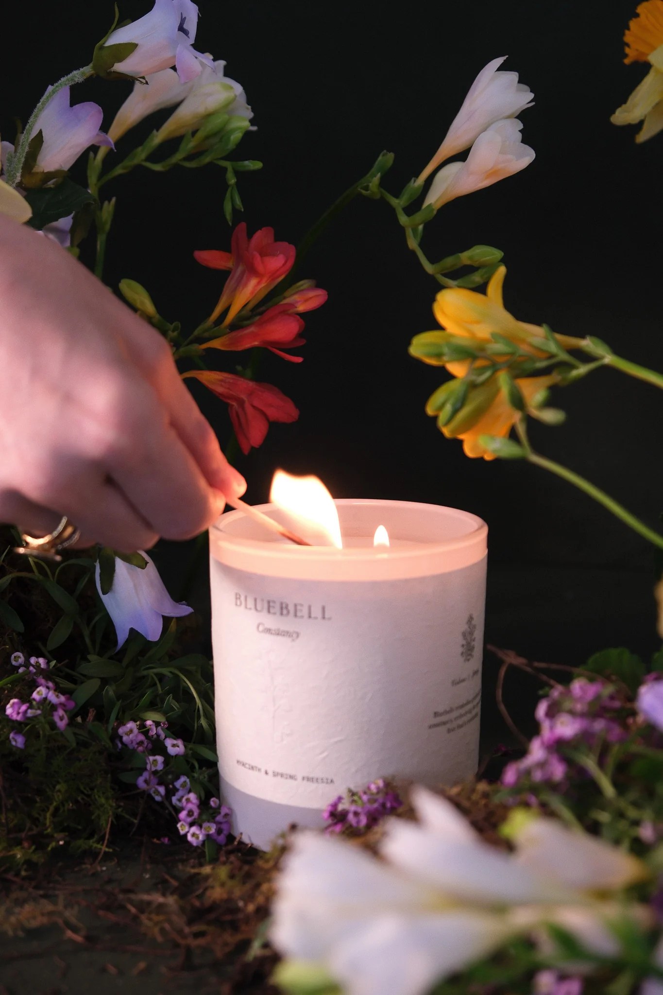 Limited Edition Studio Sol - Premium Space Art Gallery - 8K