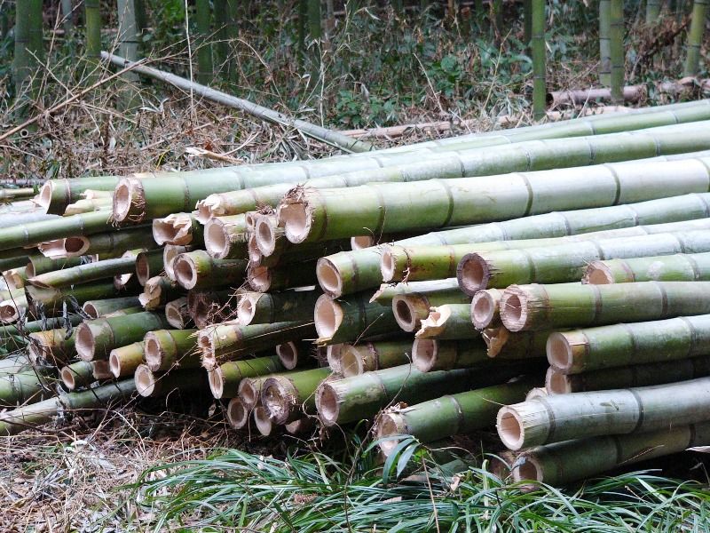 Bamboo Drip Irrigation System Studiousguy - Light Designs - Artistic Full HD Collection