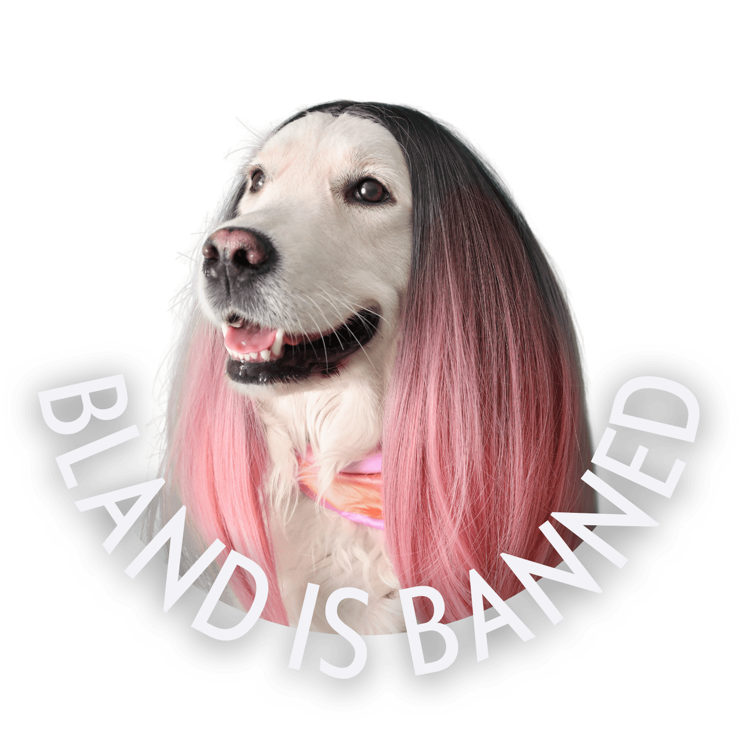 BLAND IS BANNED-6