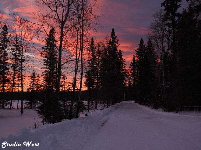 Prince Albert National Park