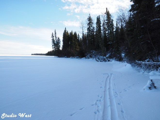 Prince Albert National Park skiing along lake shore