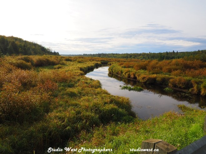 Fall is coming to the Spruce River