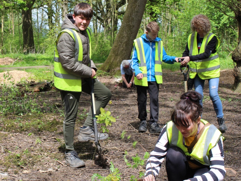 Tree planting campaign for sustainability