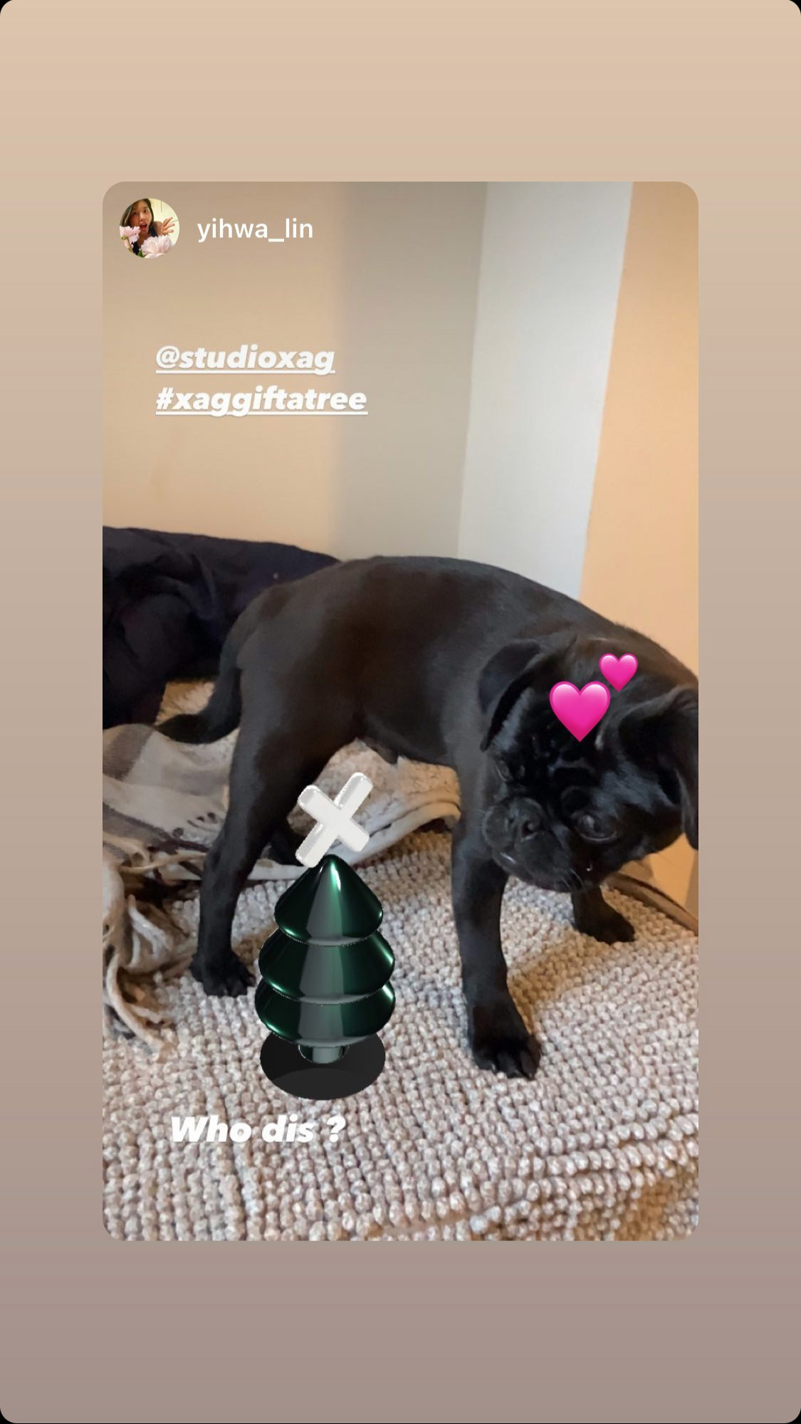 Sustainable retail design - Gift a Tree initiative