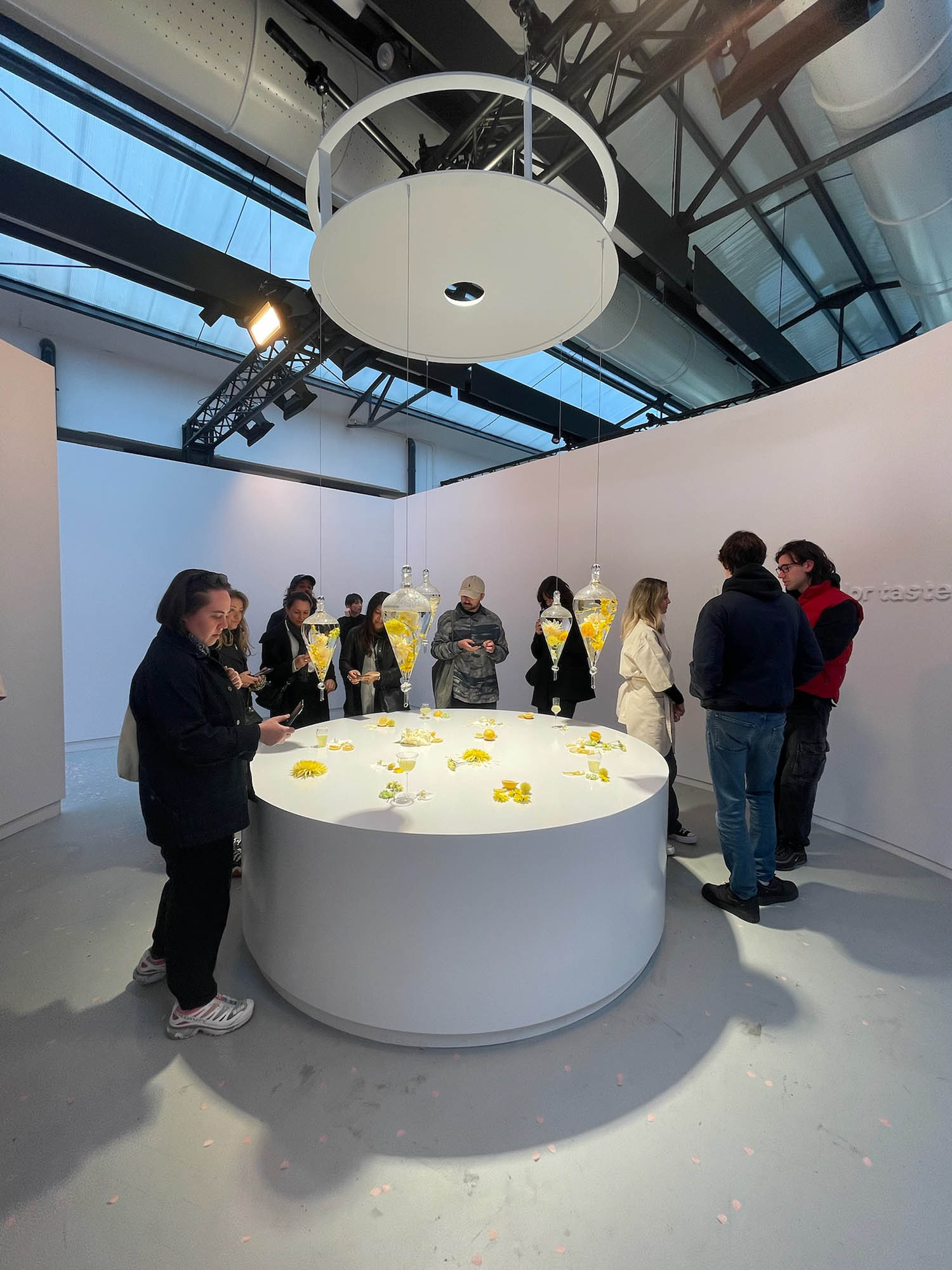 “Making Sense of Color” by Google installation