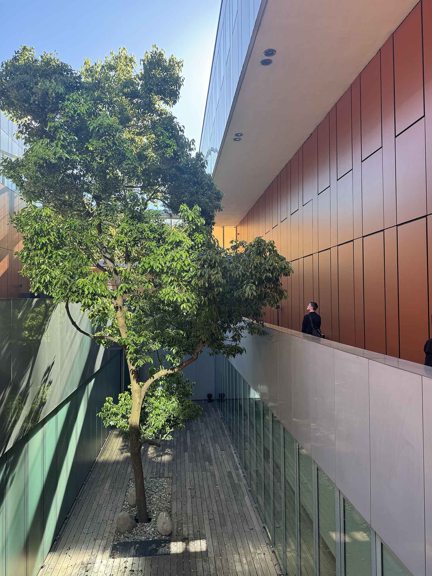 Born in Oasi Zegna Forest exhibition entrance at Milan Design Week