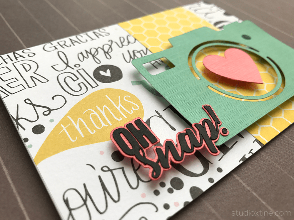 Oh Snap! Thank You Card