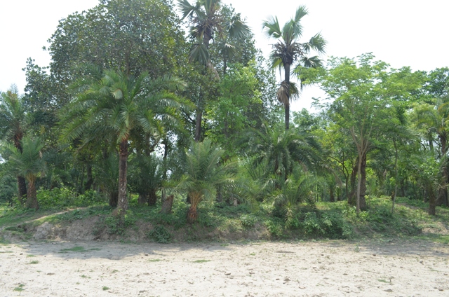 মেহেরপুরের শ্যামপুর মন্দির