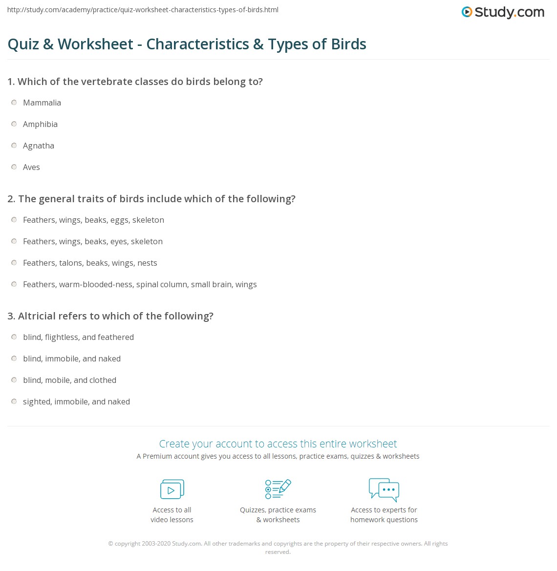 Quiz & worksheet