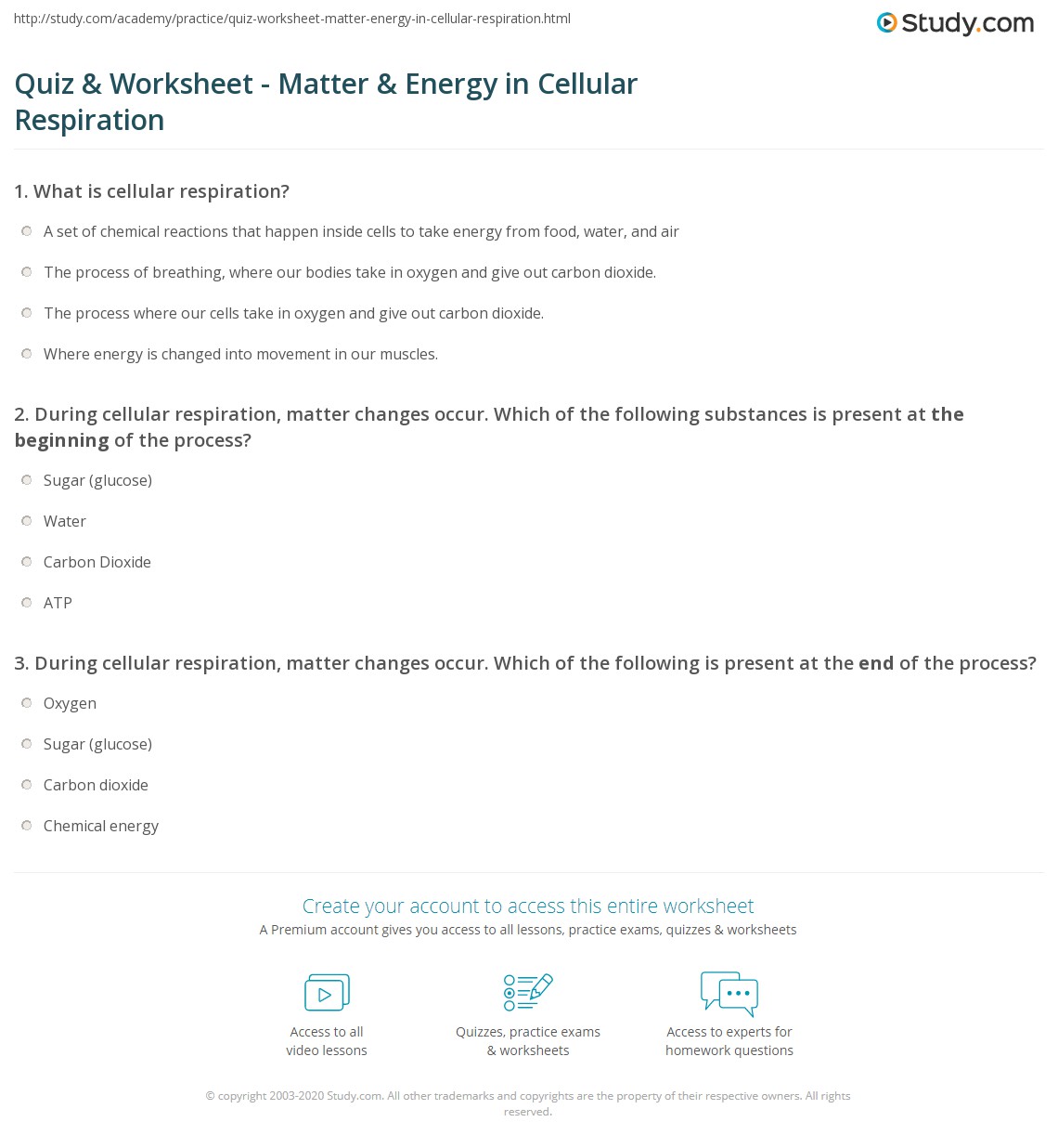 Answers Photosynthesis And Cell Respiration Worksheet