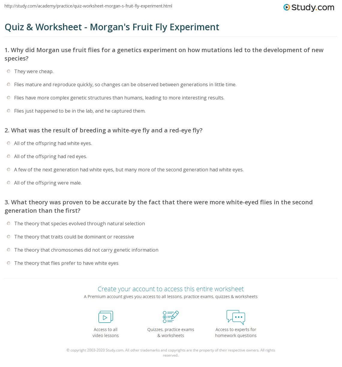 Angle relationship practice name_____ id: Quiz Worksheet Morgan S Fruit Fly Experiment Study Com