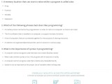 Quiz Worksheet Programming Logic Syntax Study