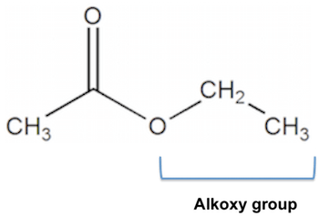 Molar mass, 88.11 g/mol ; Acetate Formula Structure And Symbol Video Lesson Transcript Study Com