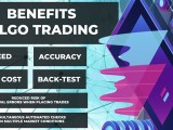 Forex Algorithmic Trading Basics Forexstore Academy