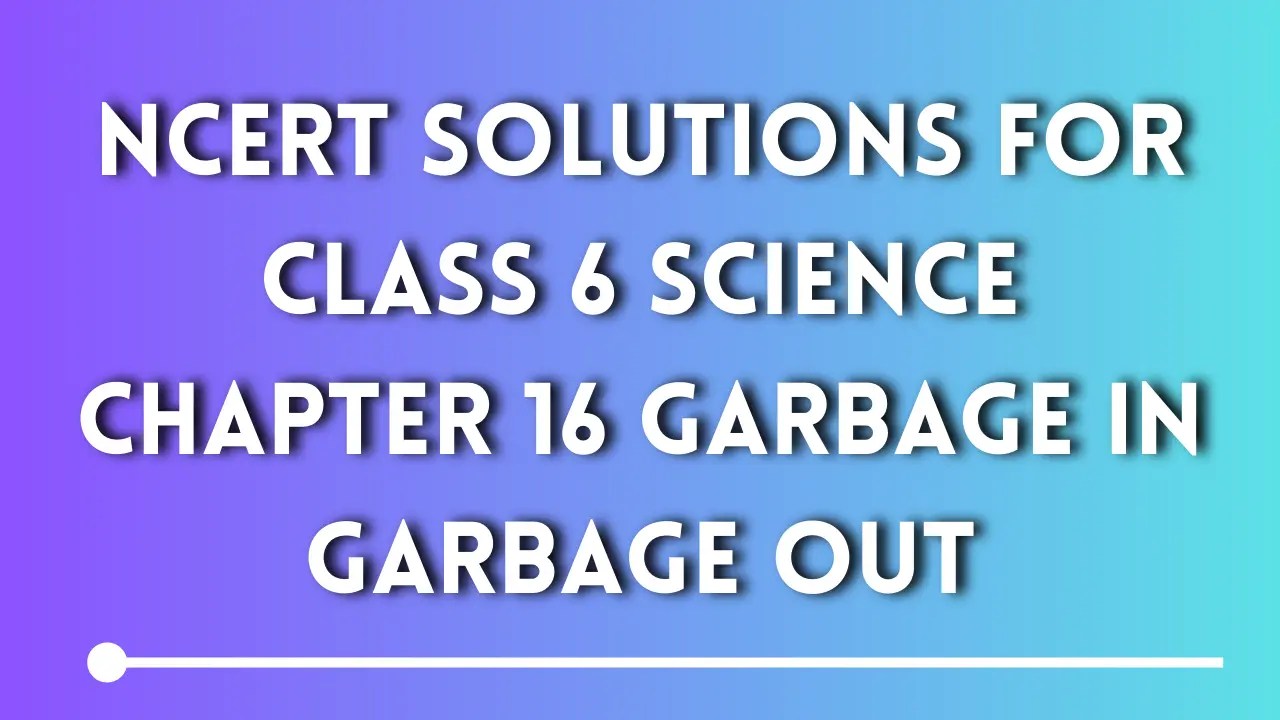 NCERT Solutions for Class 6 Science Chapter 16 Garbage In Garbage Out