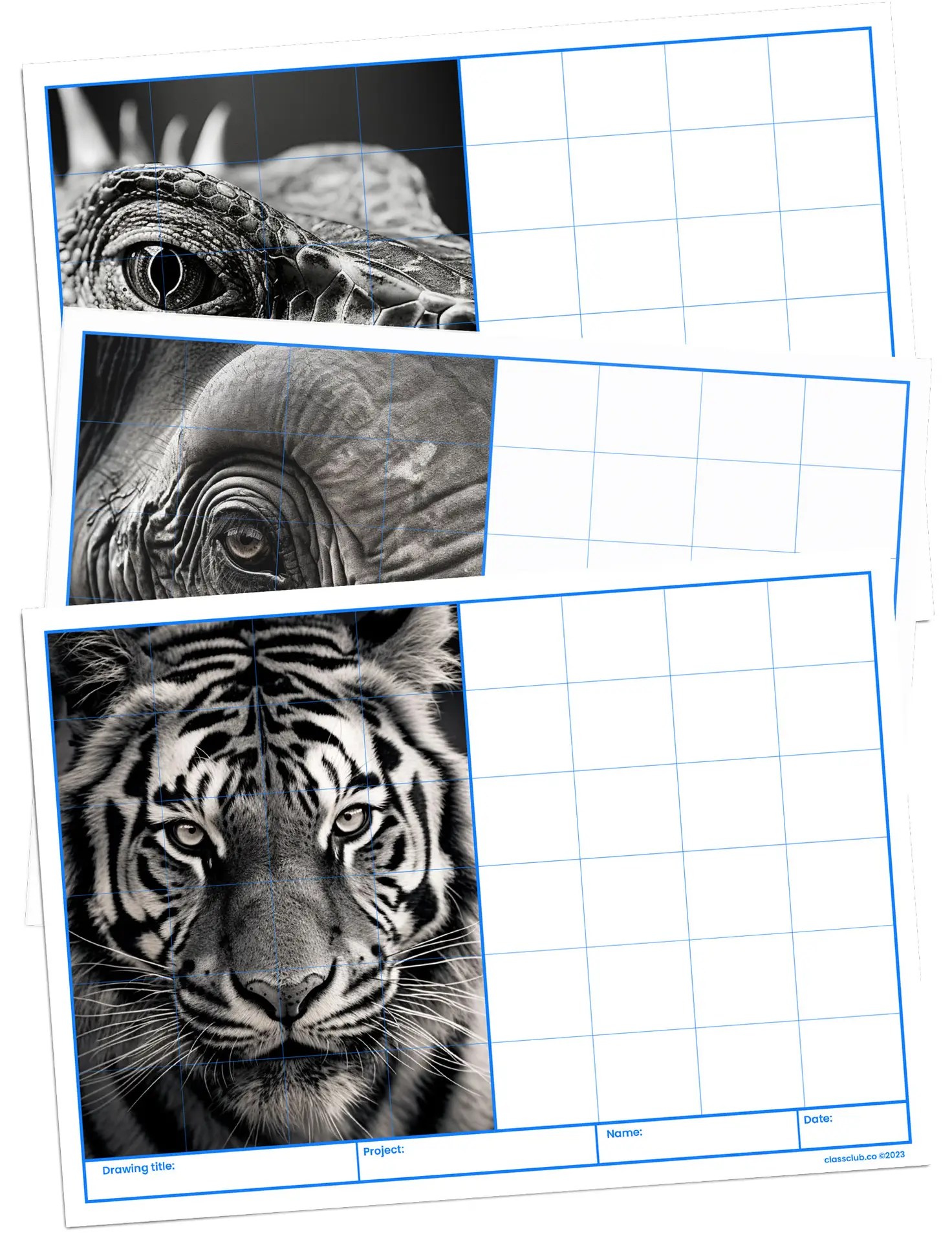 Animals sketching download