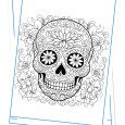 skull6