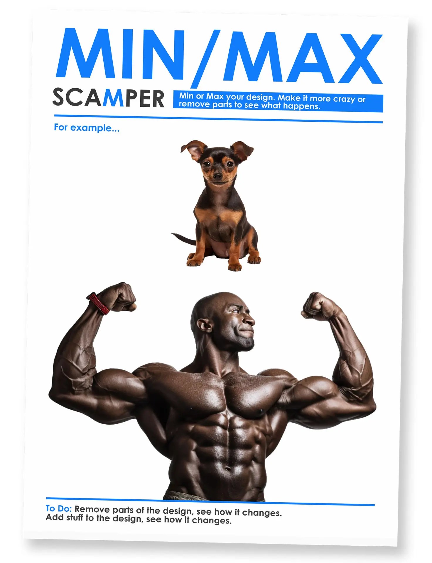 Scamper posters 1