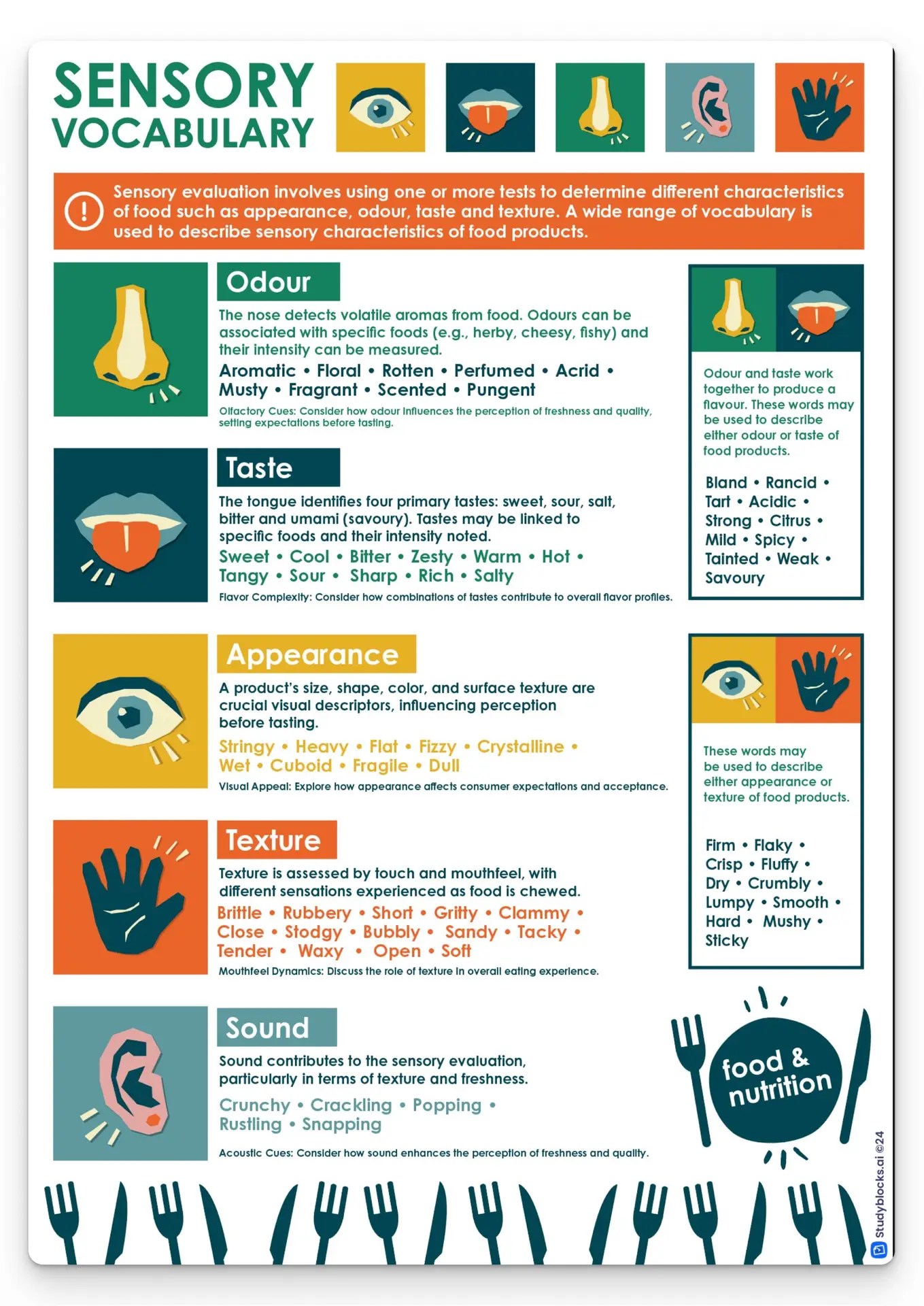 Sensory Vocabulary display