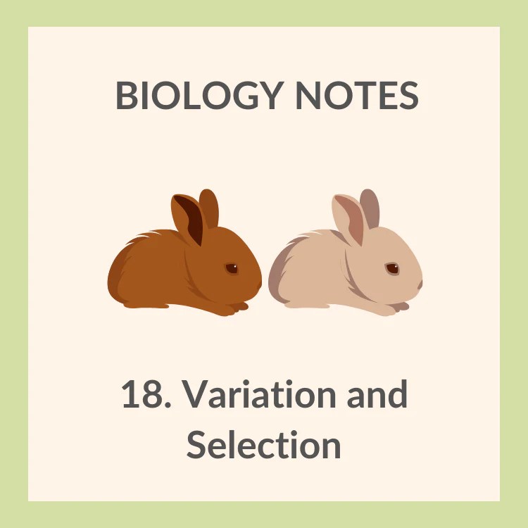 Selection Biology Notes For Igcse 2014 - Best City Textures in HD