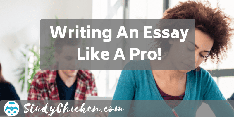 Writing an essay like a pro