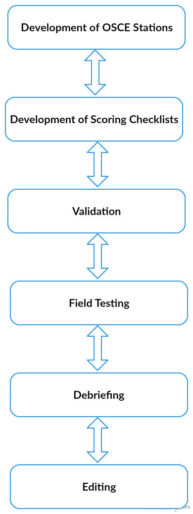 The Process of the Development of a Nursing Assessment and Evaluation Plan.