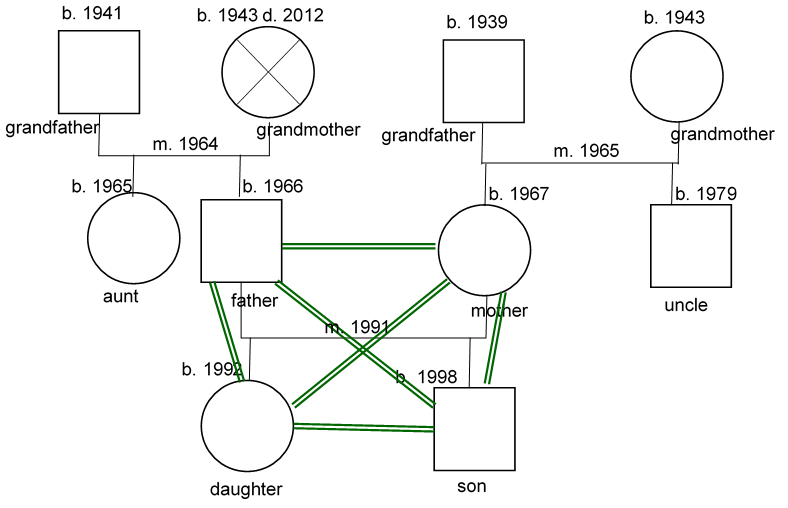 Genogram of the family.