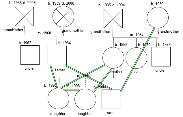 Genogram of the family.