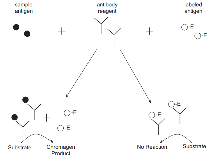 Enzyme-Multiplied Immunoassay Technique