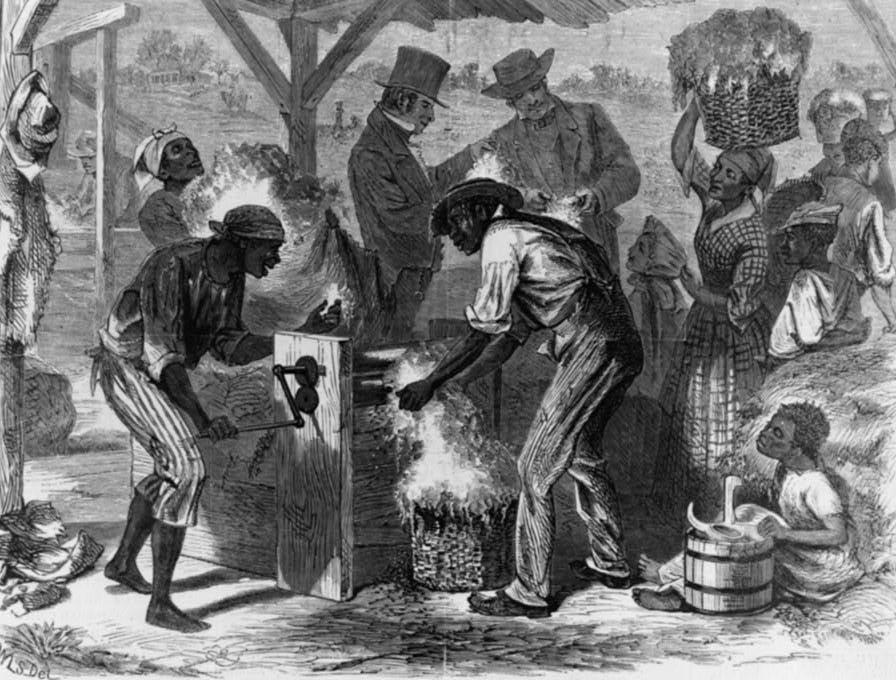 A Graphic Depiction of a Cotton Plantation