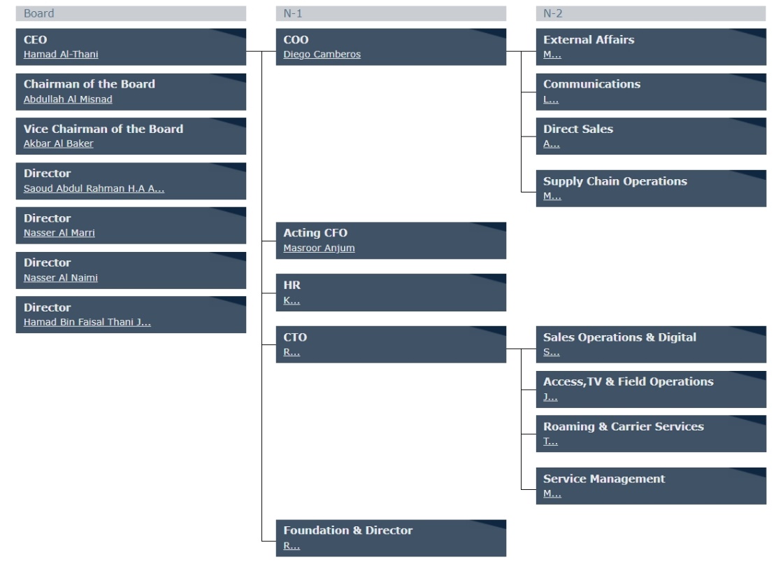 Organisational structure of Vodafone Qatar