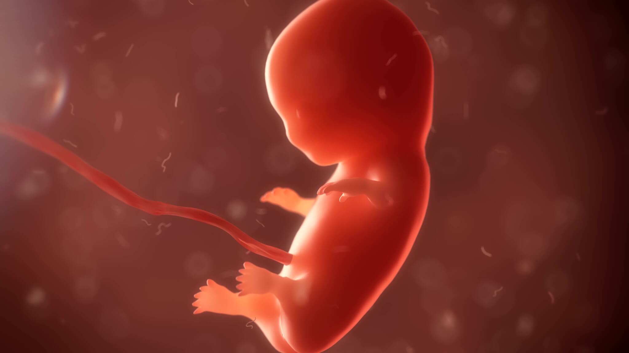 First documented case of baby infected with COVID19 in womb reported