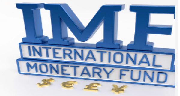 (IMF) Training 2021