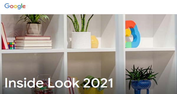 Google Inside Look Program