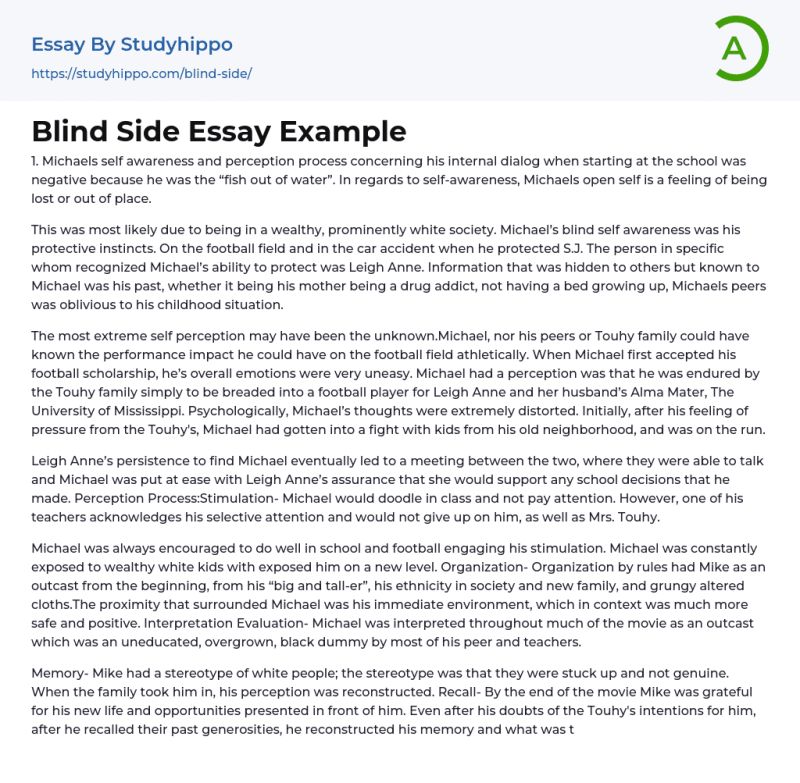 Blind Side Essay Pdf - Stunning Sunset Pattern - Full HD