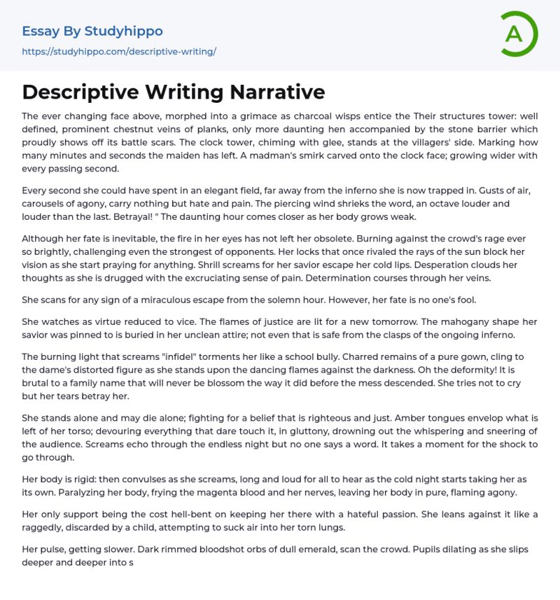 Narrative Descriptive Essay Writing Guidelines - Amazing Minimal Design - 8K