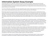 Information System Essay Example Studyhippo