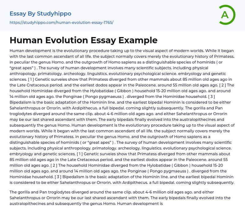 Hominid Evolution Essay Pdf - Dark Photo Collection - Ultra HD Quality