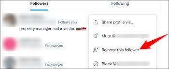 How to Remove Followers on Twitter