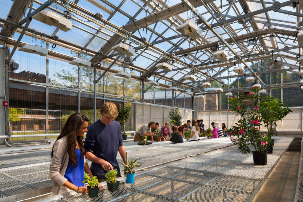 Embrace opportunities with choate rosemary hall