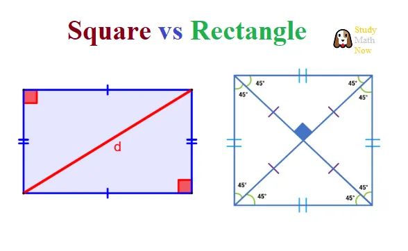 Differences Between A Square And A Rectangle Square Vs Rectangle - Premium Minimal Image Gallery - High Resolution