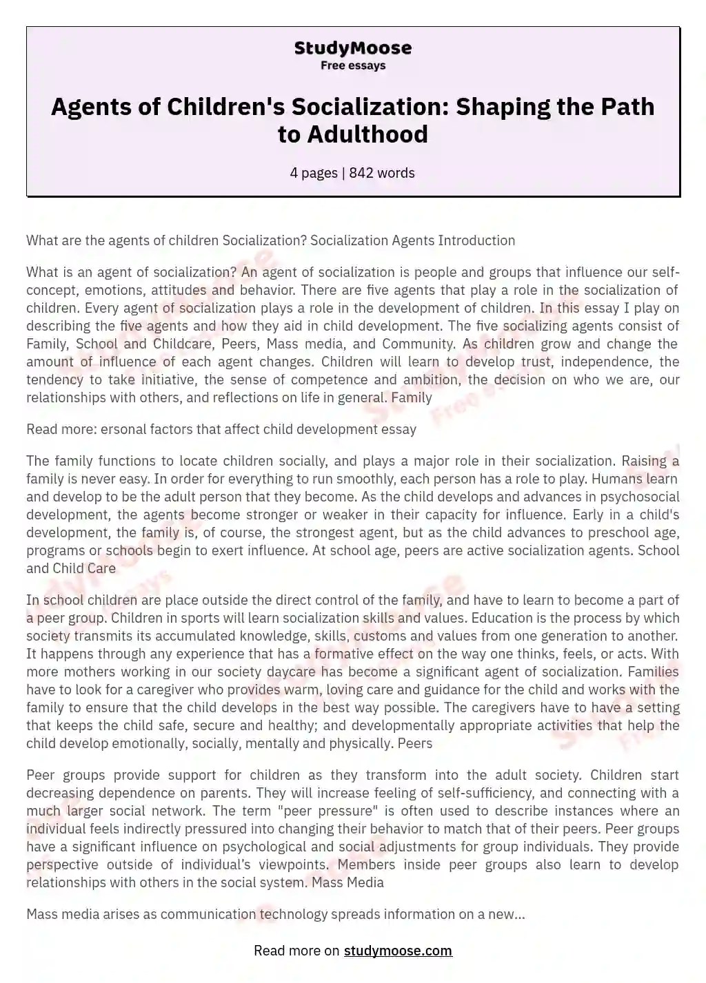 Agents of children's socialization: shaping the path to adulthood free essay example