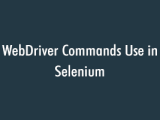 Webdriver Commands Use In Selenium Studysection Blog