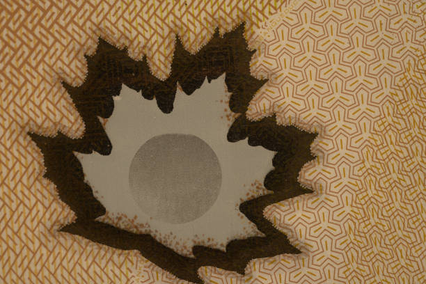 Economic Data Support Canadian Dollar Rally This Week