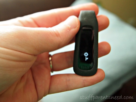 FitBit One