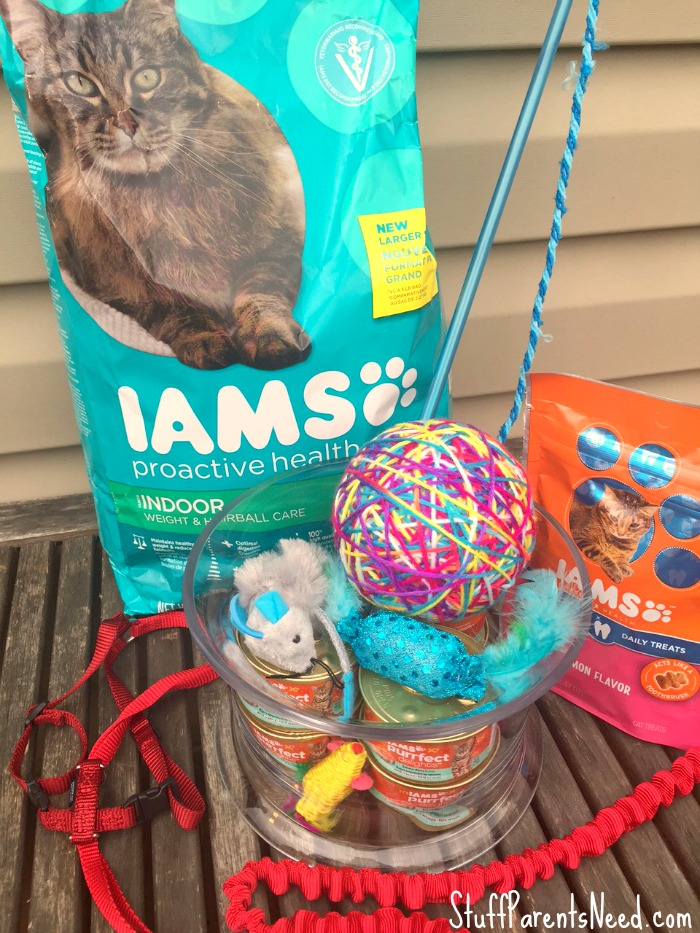 iams cat treats