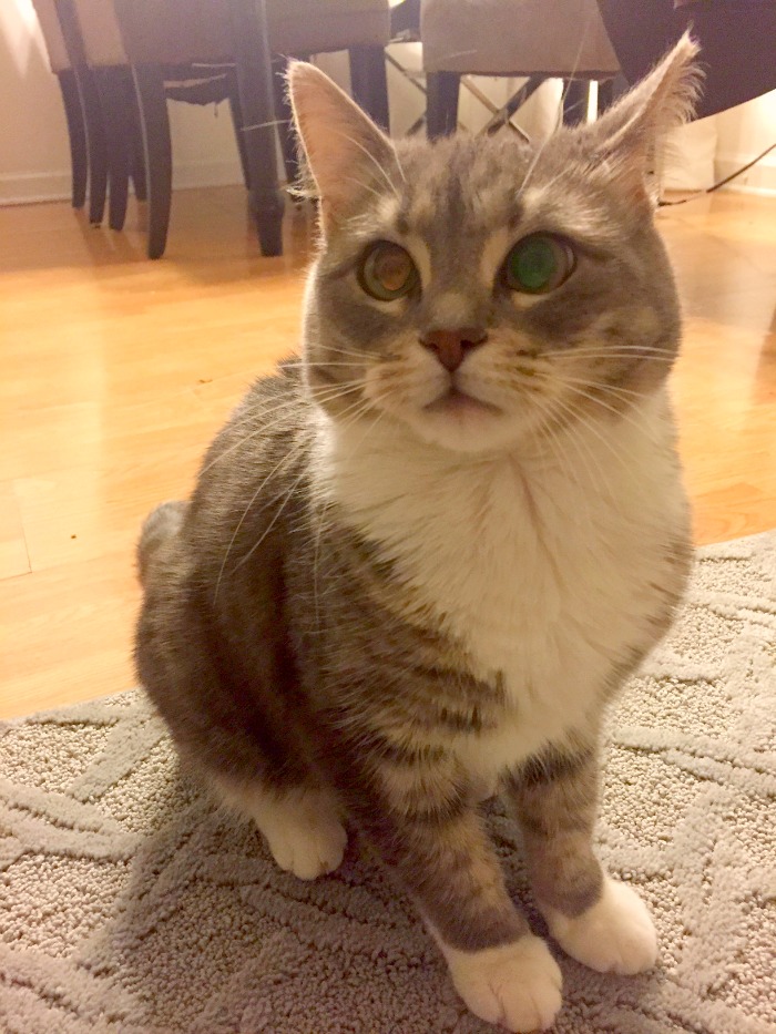 ruby