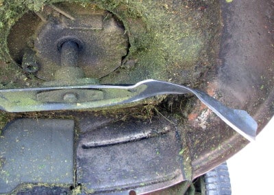 lawnmower root damage